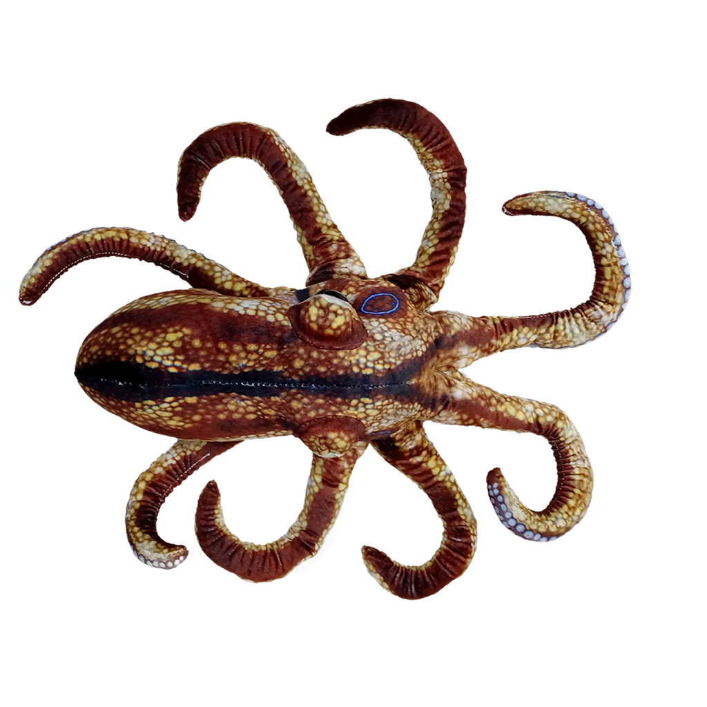 Octopus Aquatic Ocean Plush 10" Stuffed Animal