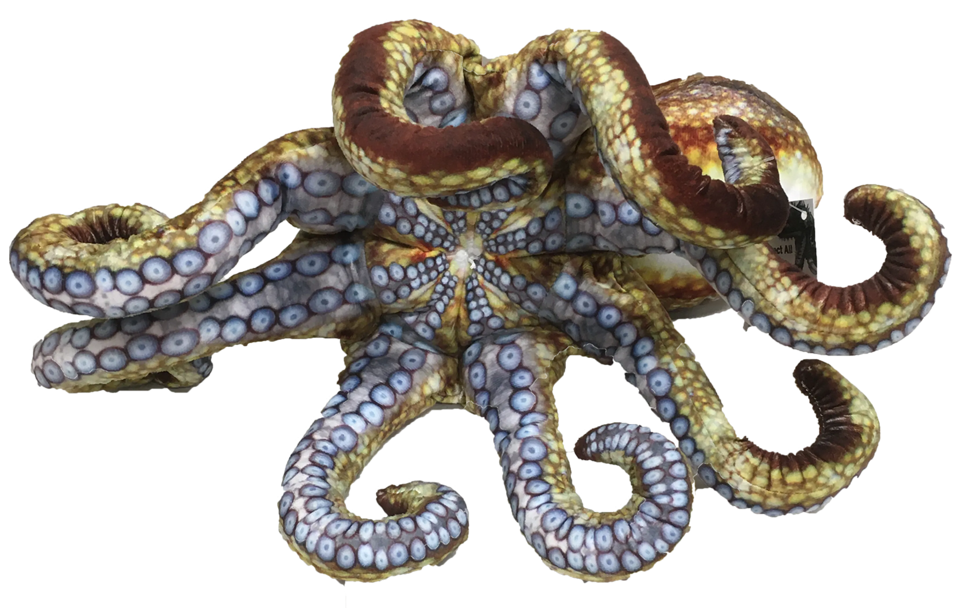 Octopus Aquatic Ocean Plush 10" Stuffed Animal